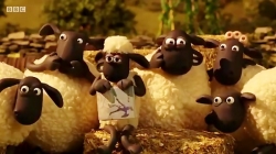 بره ناقلا (ملاقات با یک دوست قدیمی)